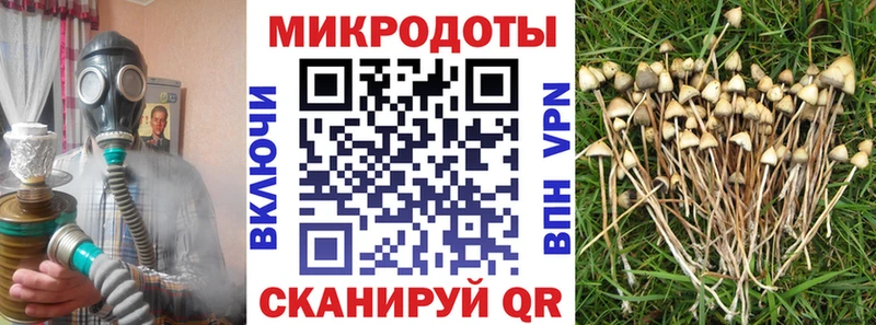 Псилоцибиновые грибы прущие грибы  MEGA маркетплейс  Шиханы  как найти закладки 