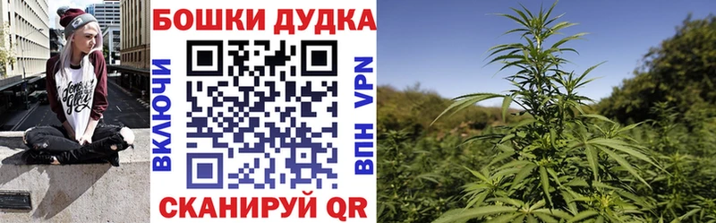гидра зеркало купить наркотики цена Шиханы Шишки марихуана White Widow